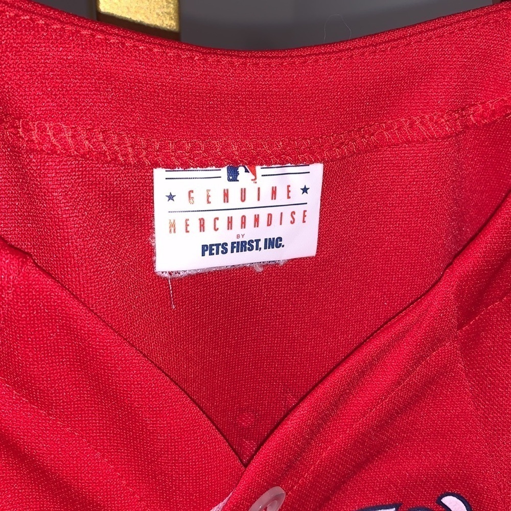 DOGGIE NATIONALS JERSEY - Picture 4 of 12